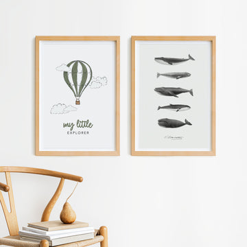 Explorer Poster Duo Pack + Free FedEx Delivery