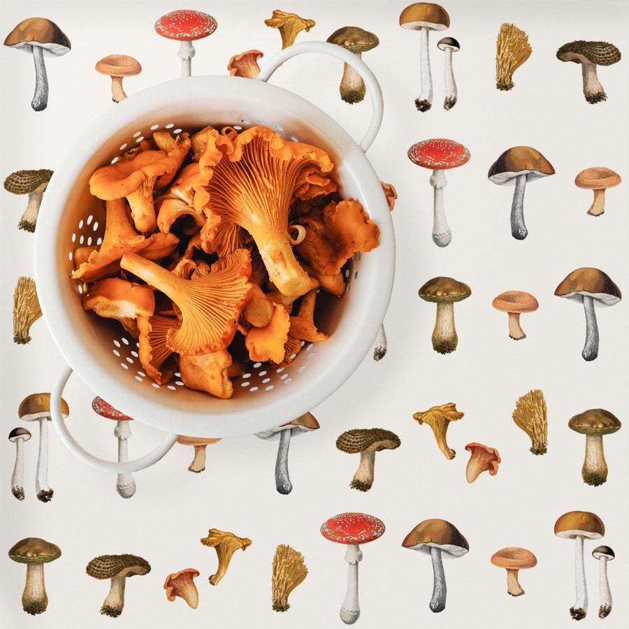 chanterelle inspired colorful wallpaper for bright interior design